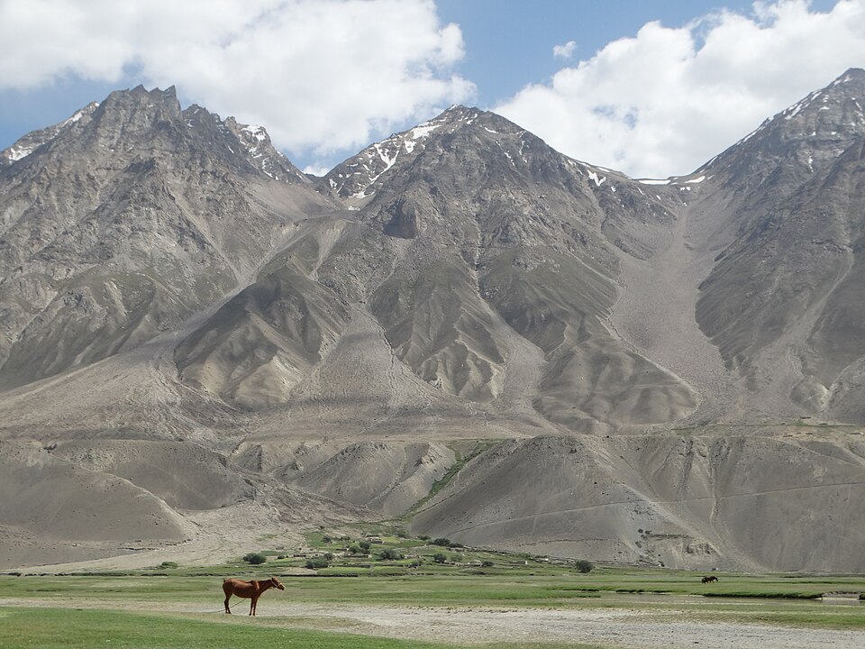 Un caballo frente a las montañas áridas del corredor de Wakán
