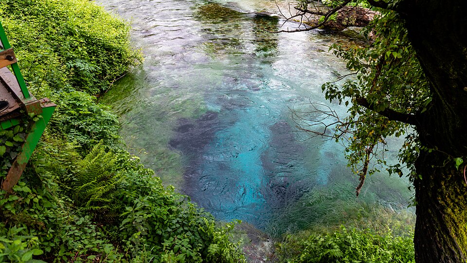 El agua azul y verde del manantial Ojo Azul entre la vegetación