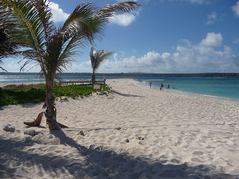Palmeras sobre la arena blanca de Sandy Island