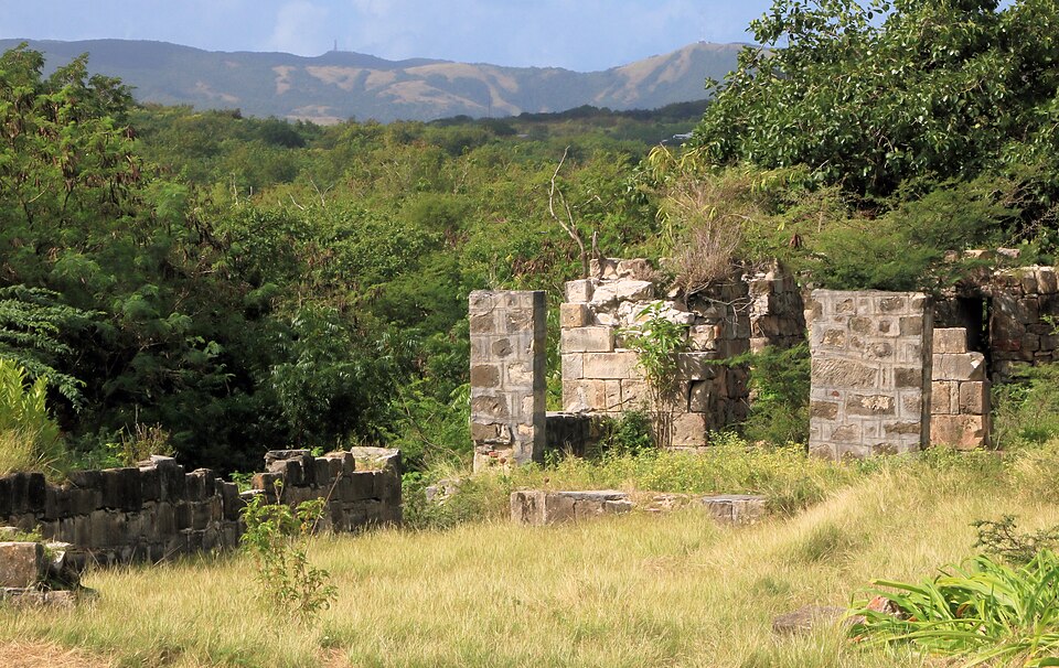 Ruinas de piedra de la casa del administrador en Betty's Hope entre vegetación
