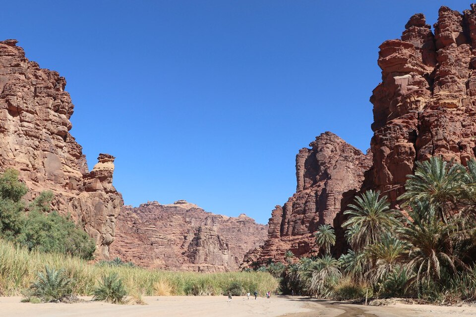 El cañón de Uadi Disah con paredes de roca roja y palmeras