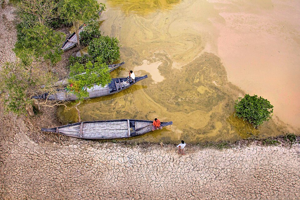 Lanchas de madera entre árboles en el bosque inundado de Ratargul, vistas desde el aire