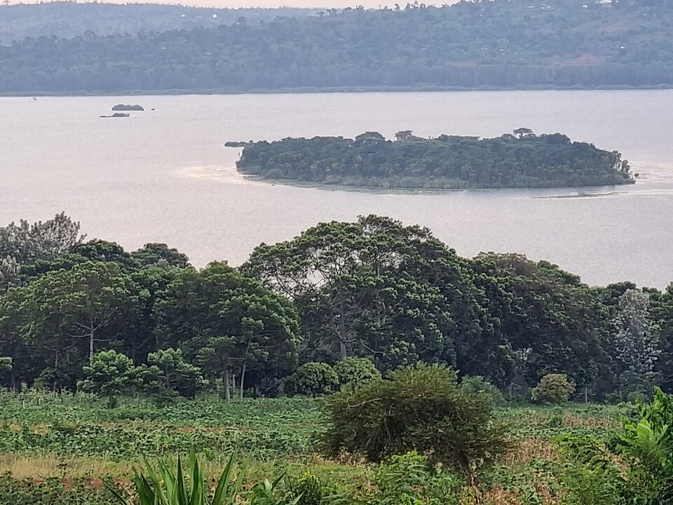 Islote arbolado en el lago Rwihinda rodeado de vegetación