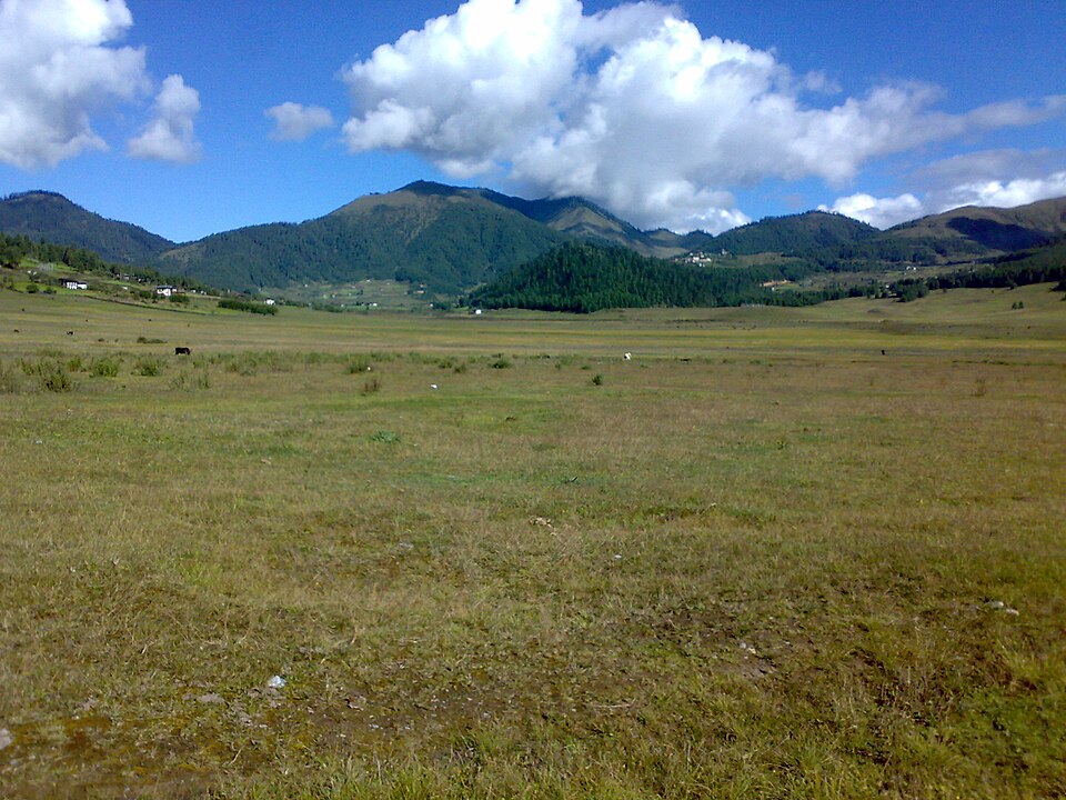 El amplio valle de Phobjikha con prados y montañas boscosas