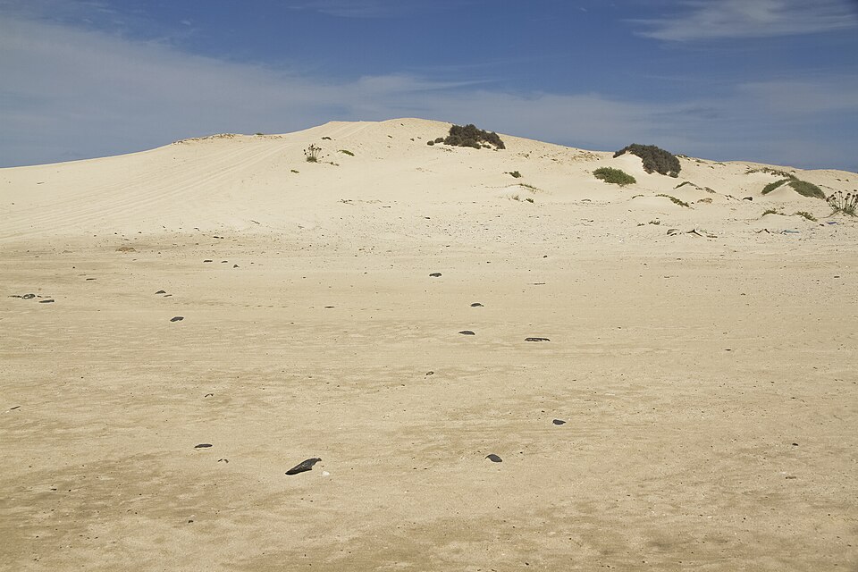 Duna de arena clara bajo el cielo azul en Boa Vista