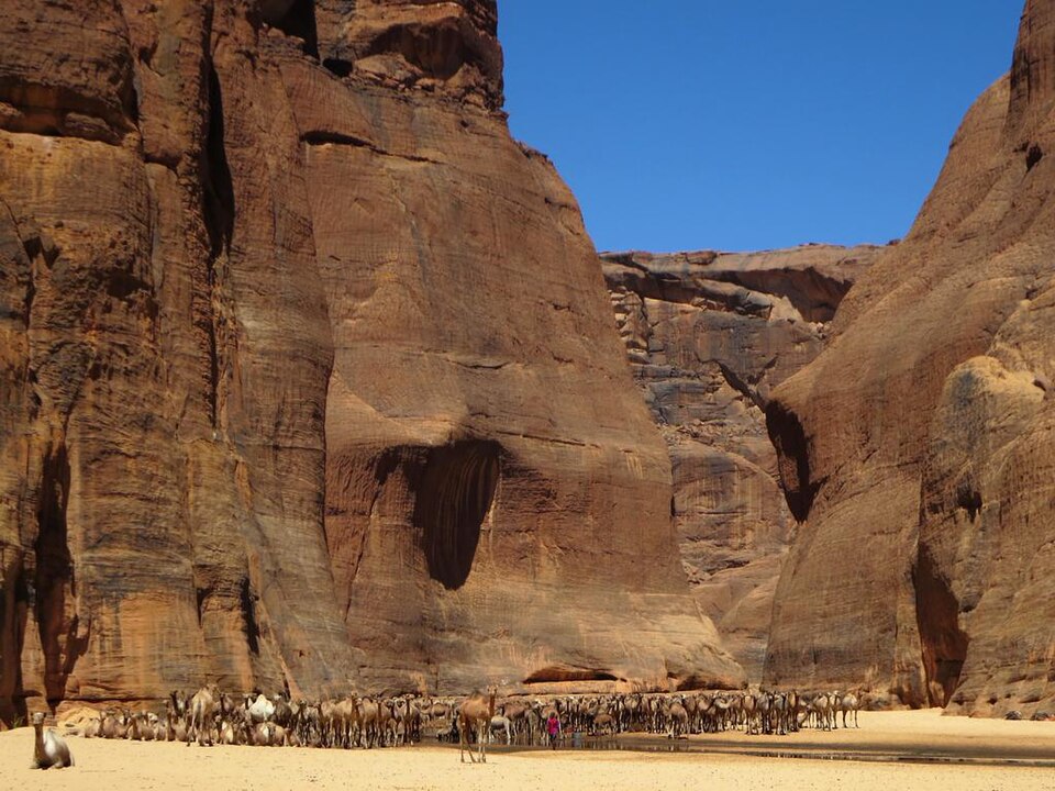 Cientos de camellos al pie de las paredes de roca de la Guelta d'Archei