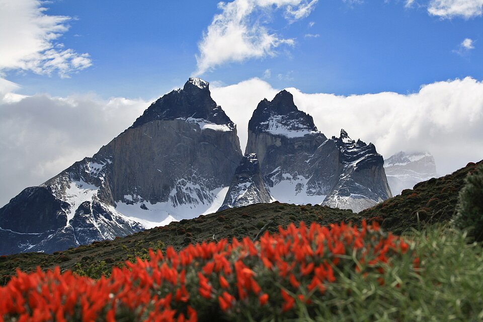 Los Cuernos del Paine, picos nevados de roca clara y oscura, con flores rojas en primer plano