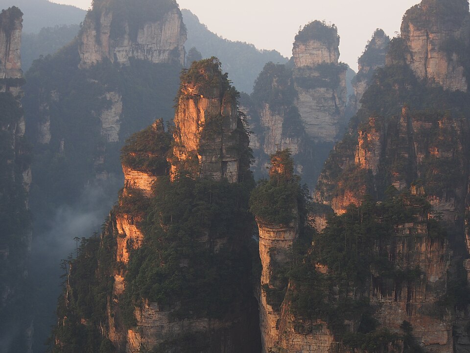 Pilares de roca cubiertos de árboles iluminados al amanecer en Zhangjiajie