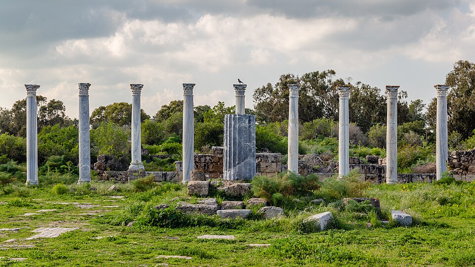 Columnas de mármol del gimnasio romano de Salamina entre la hierba