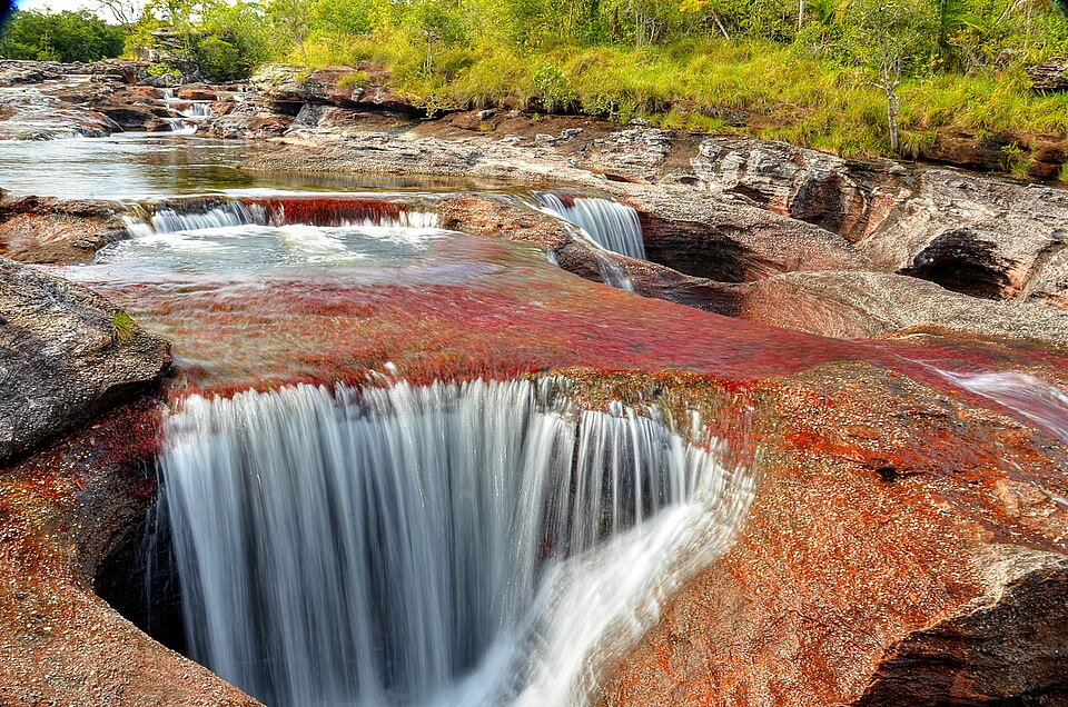 Agua que cae en una poza entre plantas acuáticas rojas en Caño Cristales