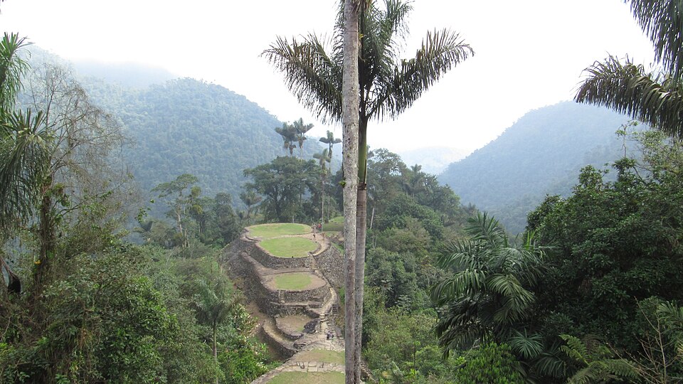 Terrazas circulares de piedra cubiertas de pasto en la Ciudad Perdida, rodeadas de selva