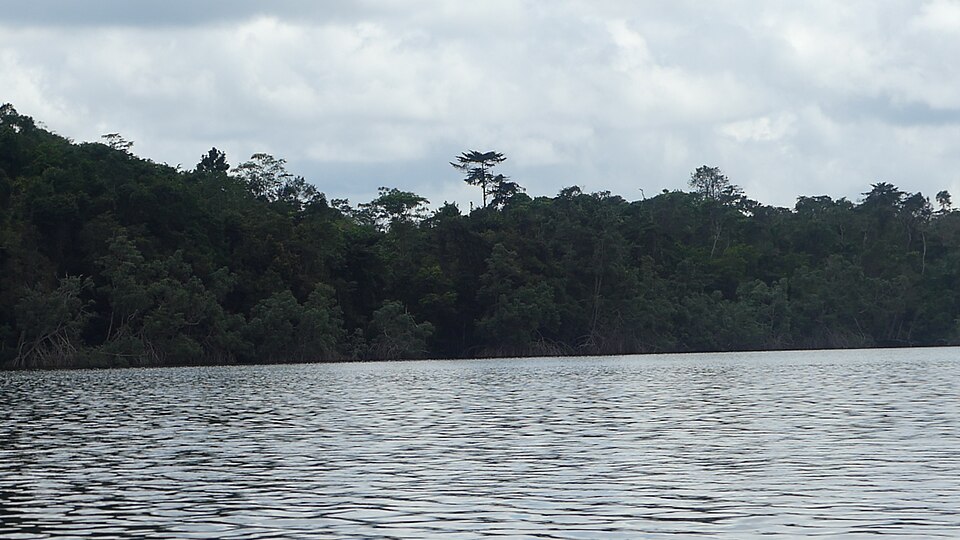 Laguna rodeada de selva en el parque de Conkouati-Douli