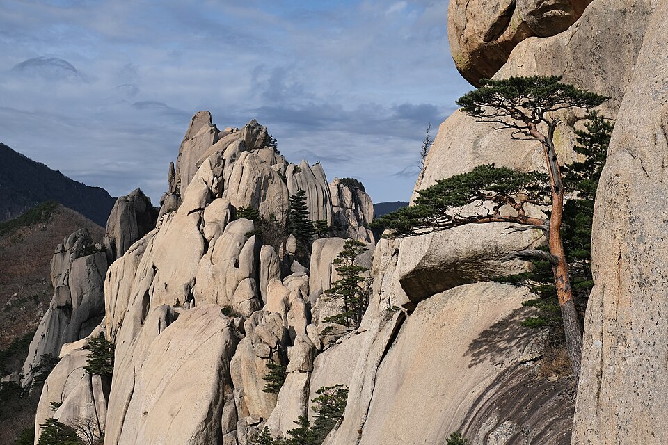 Picos de granito y pinos en el parque nacional Seoraksan