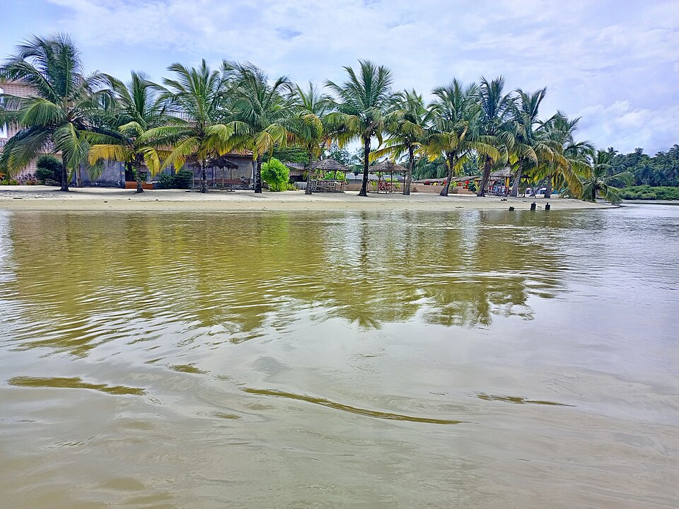 Palmeras a la orilla de la laguna de Assinie