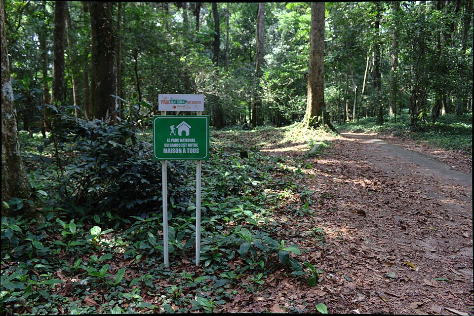 Sendero bajo árboles altos en el Parque Nacional del Banco