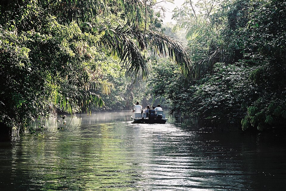 Una lancha recorre un canal de agua tranquila bajo la selva de Tortuguero