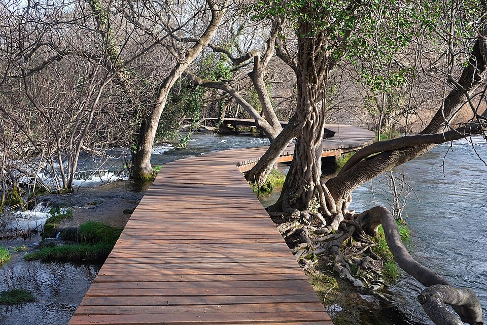 Una pasarela de madera entre el agua y los árboles en Krka