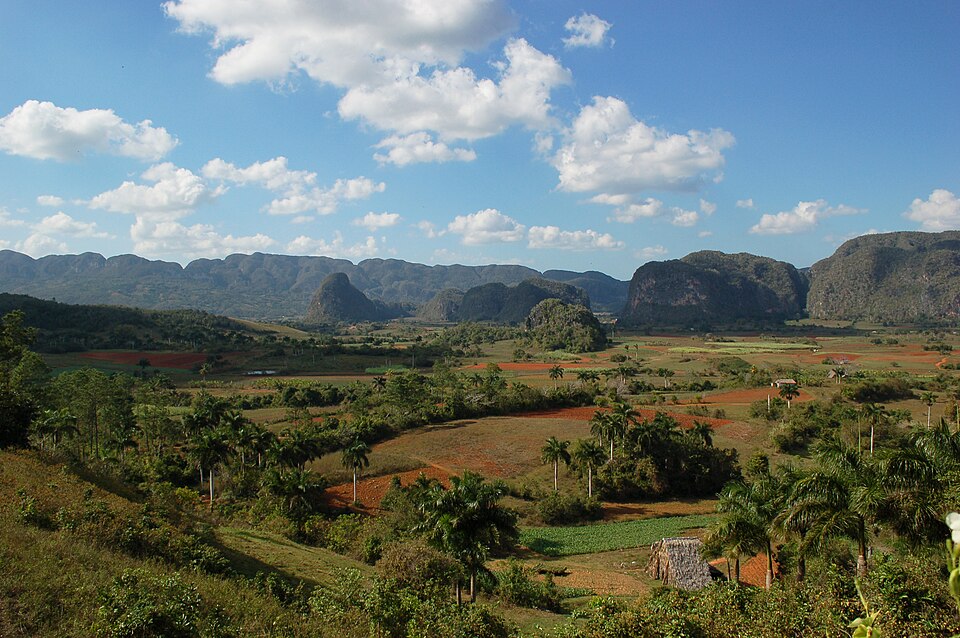Mogotes de piedra caliza cubiertos de vegetación sobre los campos del Valle de Viñales