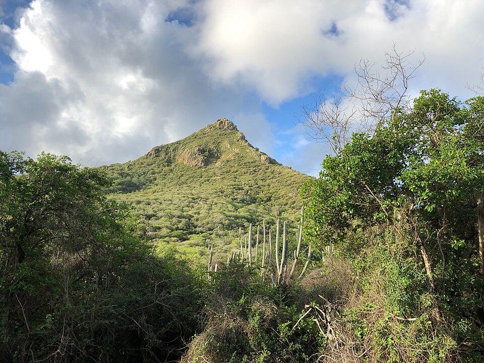 El monte Christoffel entre la vegetación y los cactus del parque