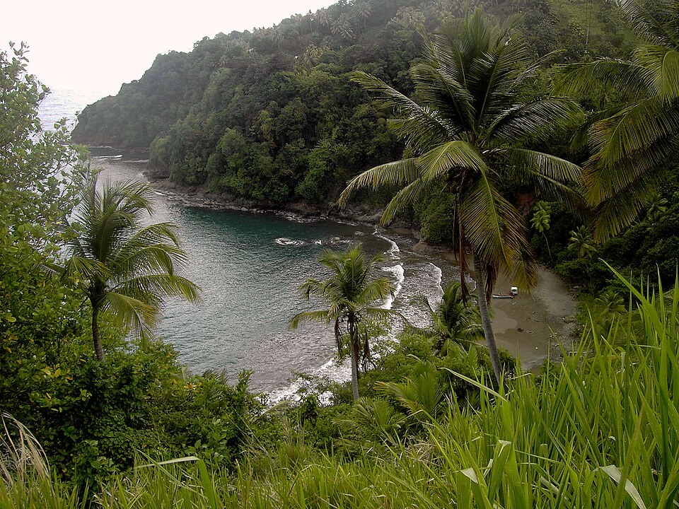 Costa verde con palmeras y una bahía en el Territorio Kalinago