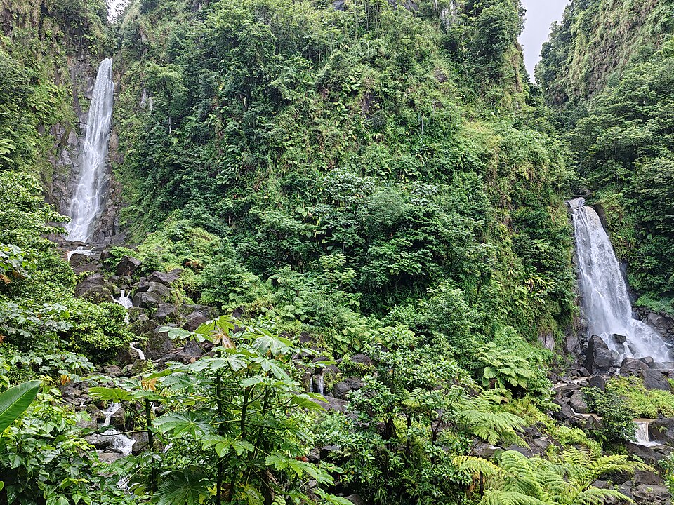 Las dos cascadas de Trafalgar cayendo entre la selva