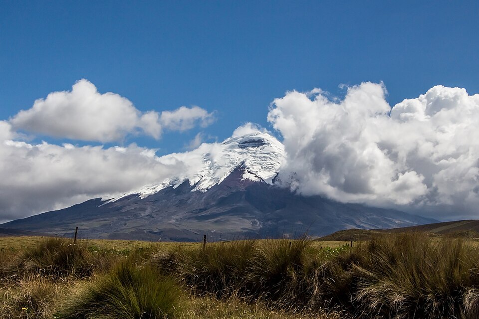 El cono nevado del volcán Cotopaxi sobre el páramo