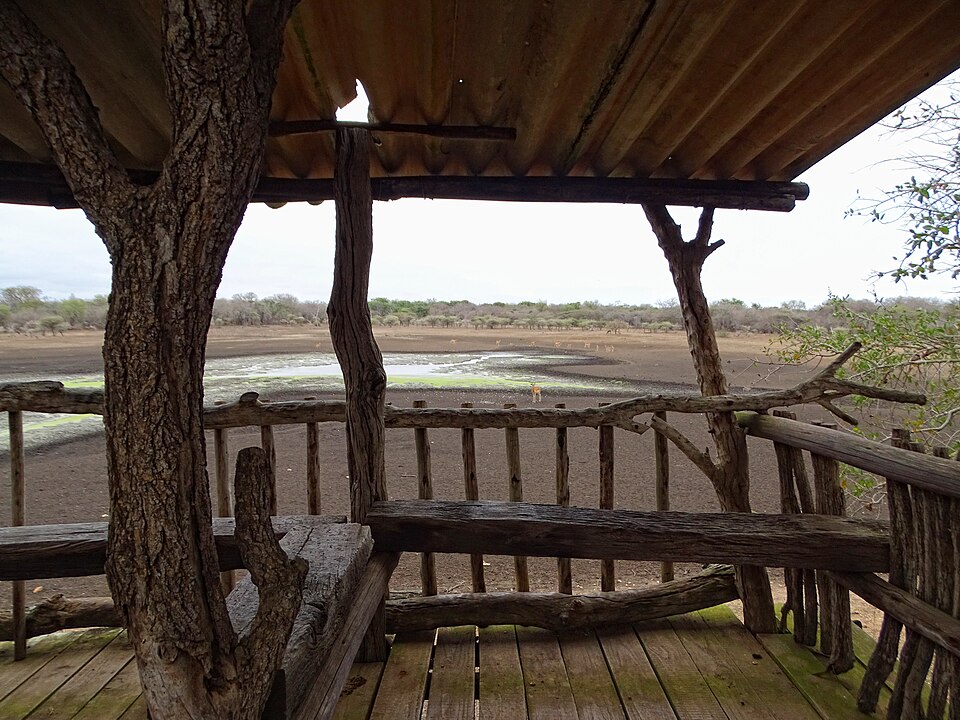 Mirador de madera frente a la charca de los hipopótamos en el parque de Hlane