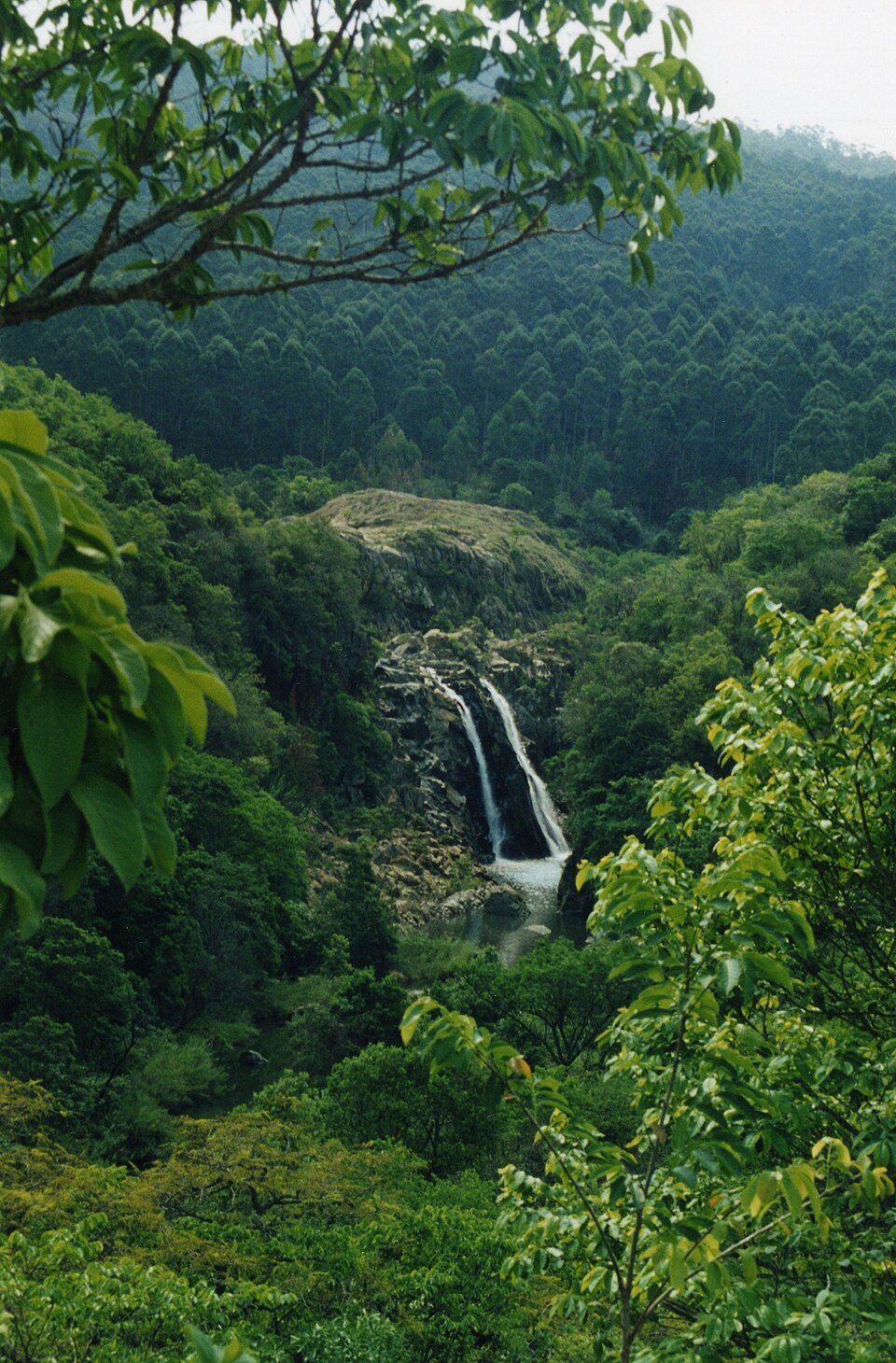 Cascada entre la vegetación del valle de Mantenga