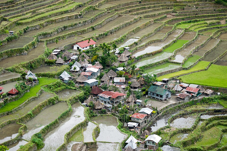 Las terrazas de arroz de Batad en forma de anfiteatro alrededor de un pueblo