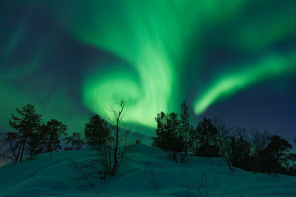 Una aurora boreal verde sobre bosques nevados en Inari
