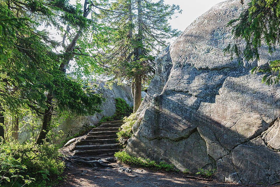 Escaleras entre rocas y árboles en el Parque Nacional Koli
