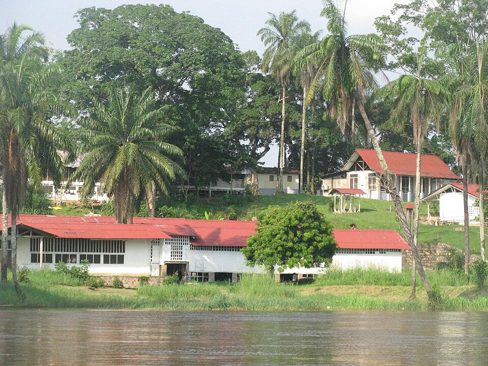 Edificios de techo rojo del hospital Albert Schweitzer entre palmeras junto al río