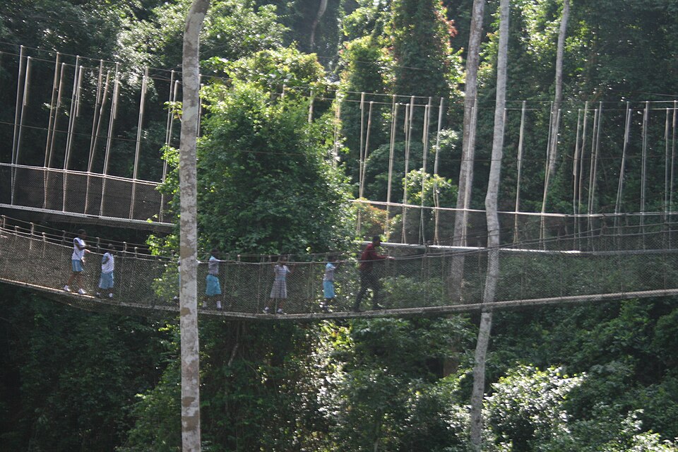 Personas cruzando un puente colgante entre las copas de los árboles en Kakum