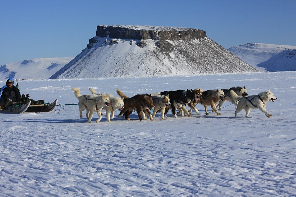 Una jauría de perros tira de un trineo sobre el hielo frente a una montaña plana