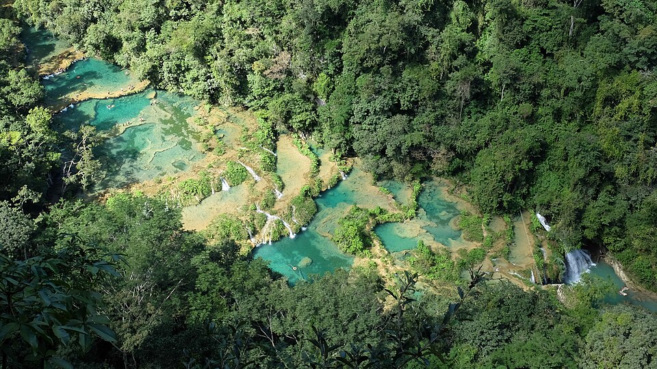 Pozas de agua turquesa escalonadas en Semuc Champey entre la selva