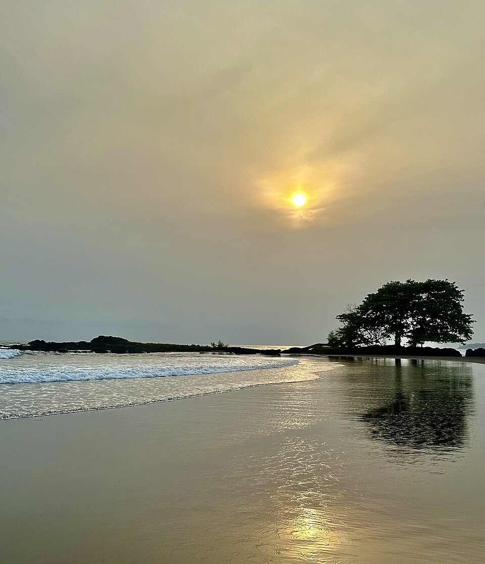 Atardecer sobre la playa de Ureca con un árbol junto al agua