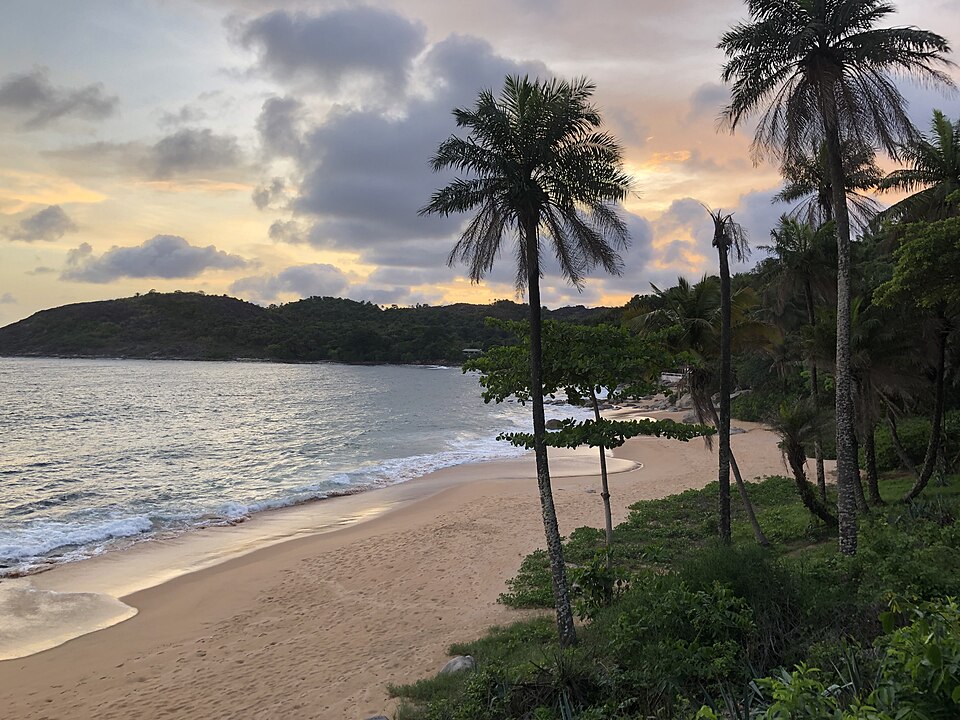 Playa de arena con palmeras al atardecer en la isla de Roume