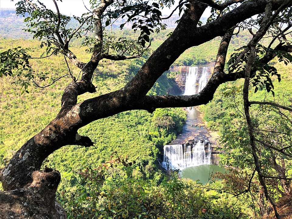 Cataratas de Kambadaga vistas desde lo alto entre ramas de árboles