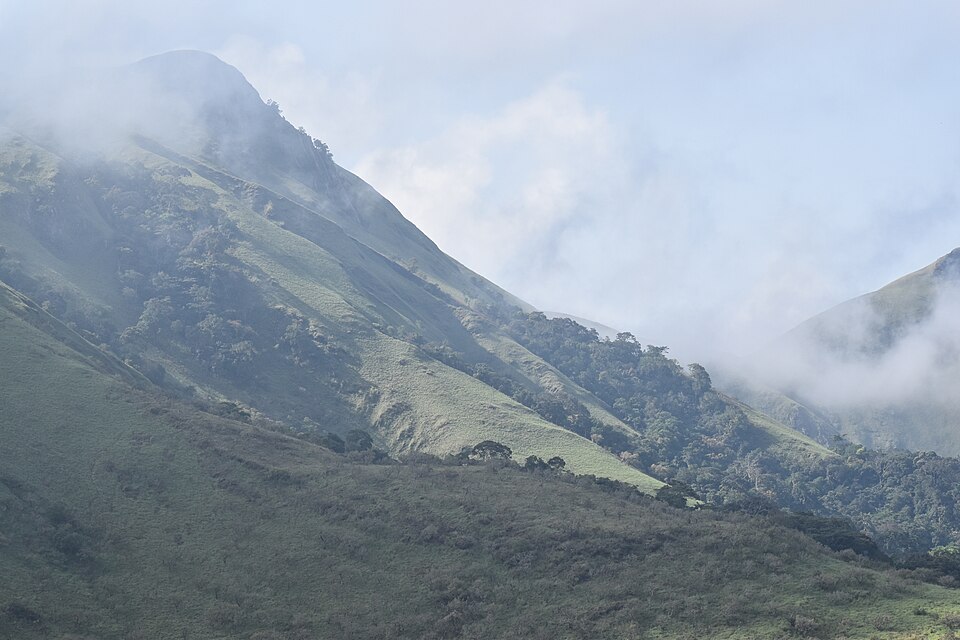 Laderas del monte Nimba cubiertas de bosque y niebla