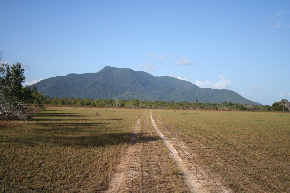 Sabana del Rupununi con pasto dorado y montañas al fondo