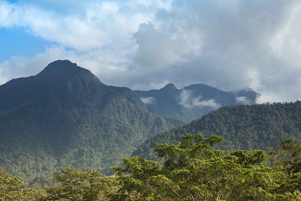 La montaña de Pico Bonito cubierta de selva con nubes