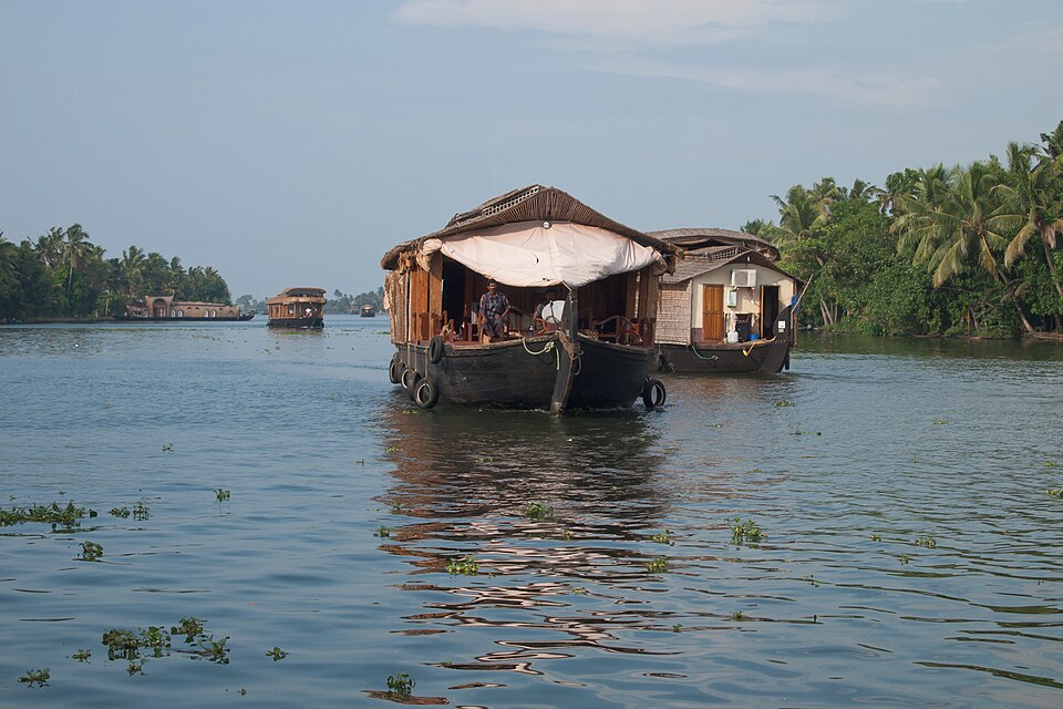 Casas flotantes navegando por los canales de Kerala entre palmeras