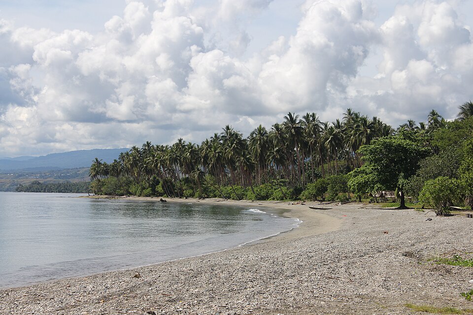 La playa Bonege con palmeras y montañas al fondo