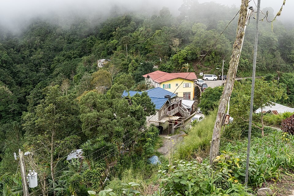 Niebla sobre el pueblo de Section entre bosques verdes en las Montañas Azules