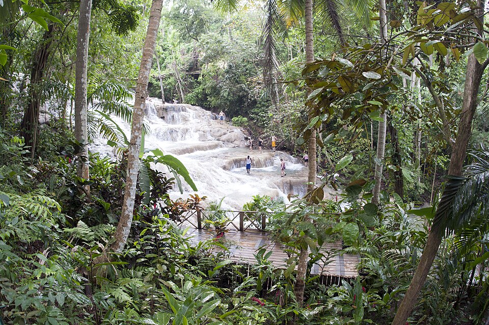 La cascada de Dunn's River bajando en escalones entre la selva