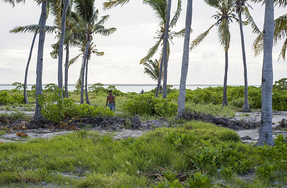 Palmeras y vegetación en Kiritimati con la laguna al fondo