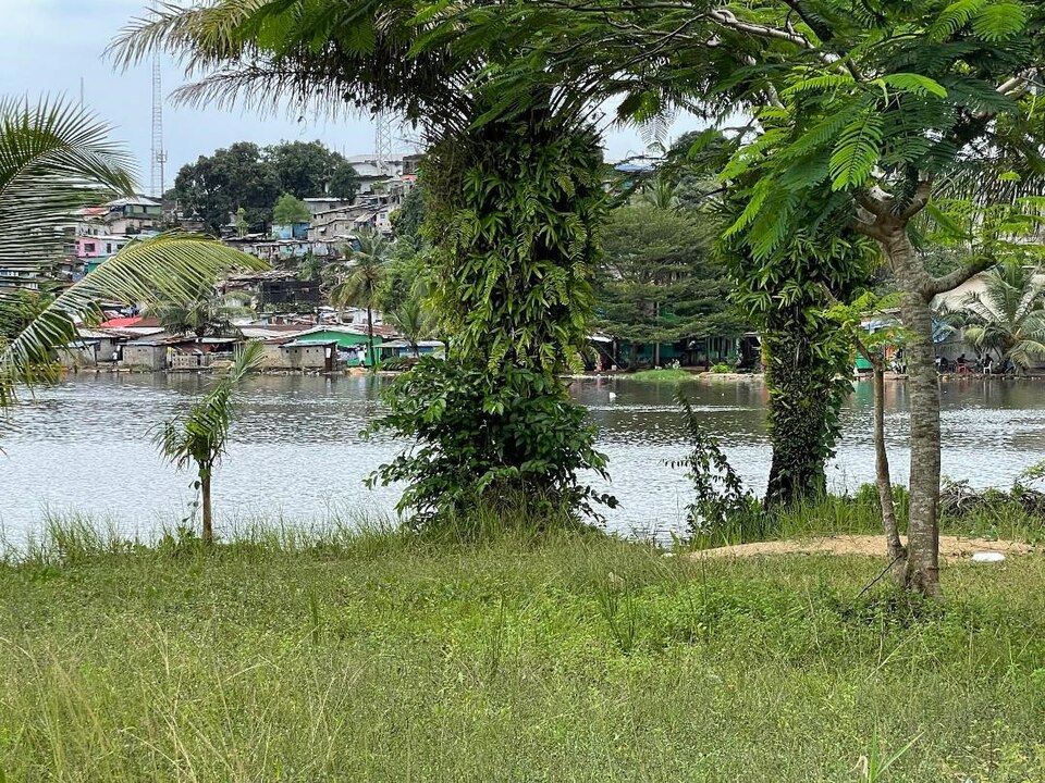 Río Mesurado y casas de Monrovia vistos desde la isla Providence, entre palmeras
