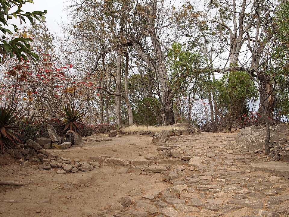 Patio de piedra y árboles del recinto real de Ambohimanga
