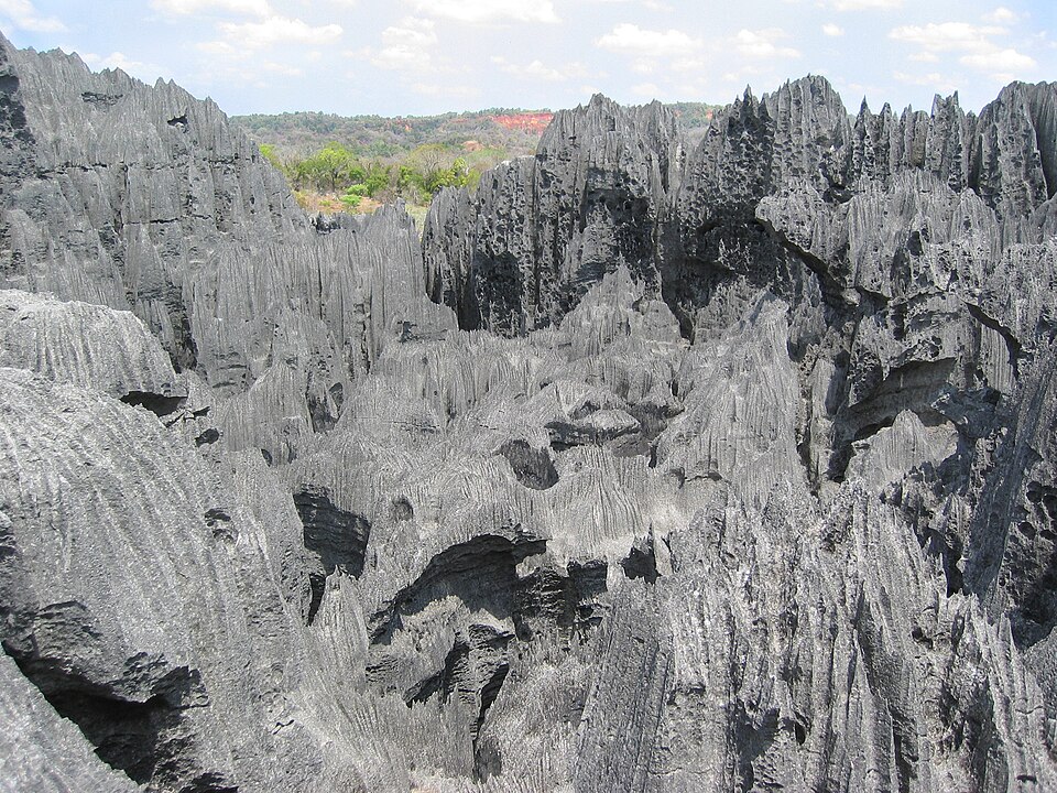 Agujas de piedra caliza gris afiladas en los Tsingy de Bemaraha