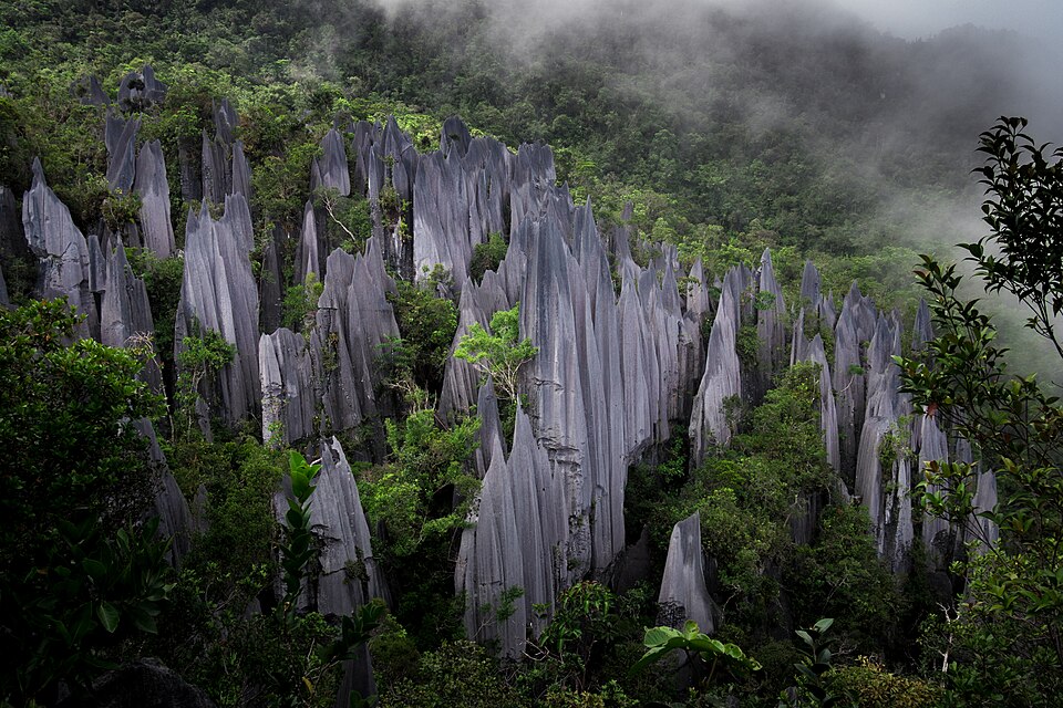 Los Pináculos de piedra caliza afilada entre la selva de Mulu